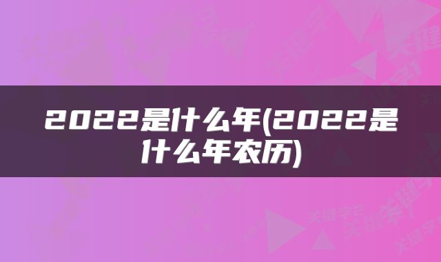 2022是什么年(2022是什么年农历)