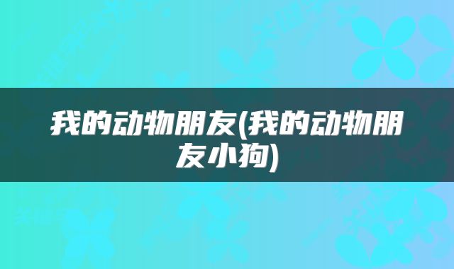我的动物朋友(我的动物朋友小狗)
