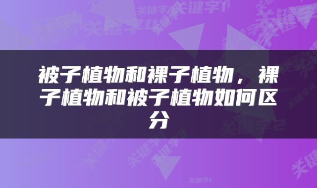 被子植物和裸子植物，裸子植物和被子植物如何区分