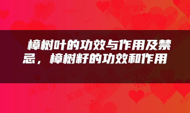 樟树叶的功效与作用及禁忌,樟树籽的功效和作用