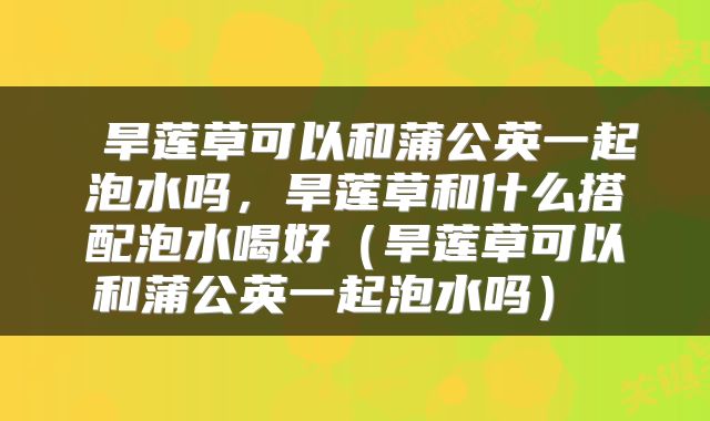  旱莲草可以和蒲公英一起泡水吗，旱莲草和什么搭配泡水喝好（旱莲草可以和蒲公英一起泡水吗） 