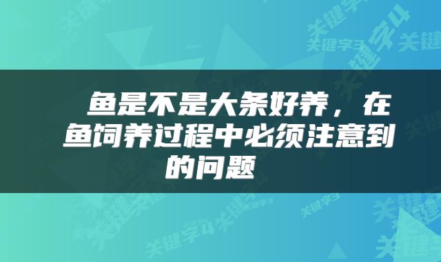  魟鱼是不是大条好养，在魟鱼饲养过程中必须注意到的问题 