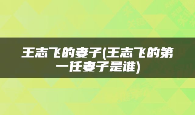 王志飞的妻子(王志飞的第一任妻子是谁)