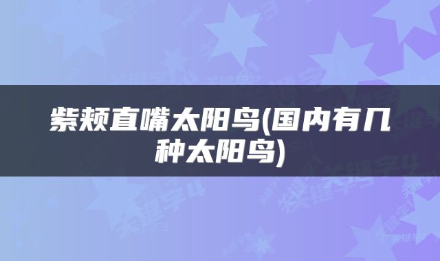 紫颊直嘴太阳鸟(国内有几种太阳鸟)