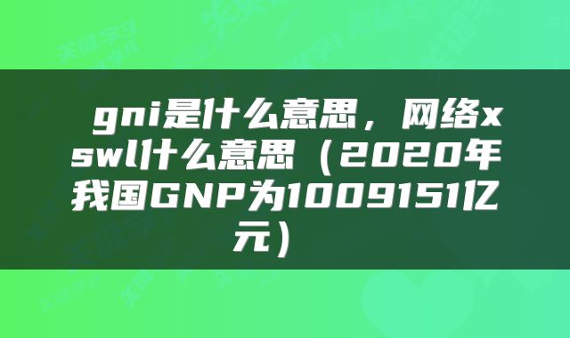  gni是什么意思，网络xswl什么意思（2020年我国GNP为1009151亿元） 