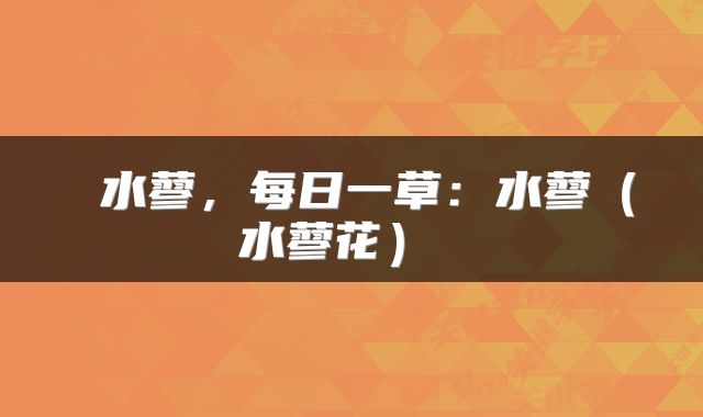  水蓼，每日一草：水蓼（水蓼花） 