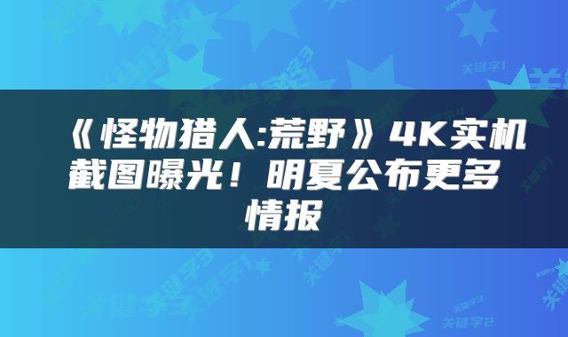 《怪物猎人:荒野》4K实机截图曝光！明夏公布更多情报