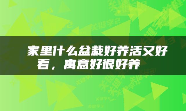  家里什么盆栽好养活又好看，寓意好很好养 