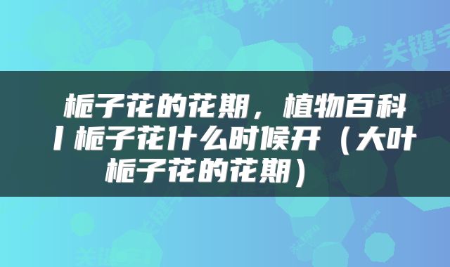  栀子花的花期，植物百科丨栀子花什么时候开（大叶栀子花的花期） 