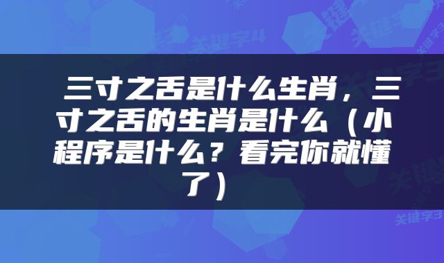 三寸之舌是什么生肖，三寸之舌的生肖是什么（小程序是什么？看完你就懂了） 