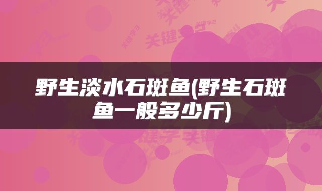 野生淡水石斑鱼(野生石斑鱼一般多少斤)