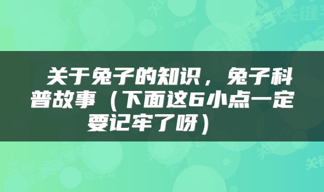  关于兔子的知识，兔子科普故事（下面这6小点一定要记牢了呀） 
