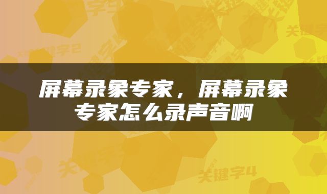 屏幕录象专家，屏幕录象专家怎么录声音啊