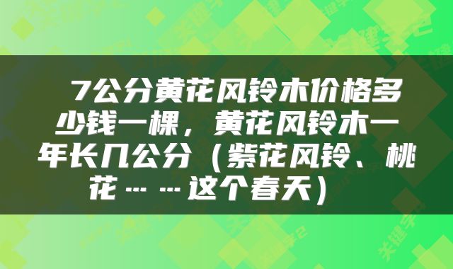 7公分黄花风铃木价格多少钱一棵,黄花风铃木一年长几公分(紫花风铃、桃花……这个春天)