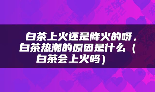 白茶上火还是降火的呀,白茶热潮的原因是什么(白茶会上火吗)