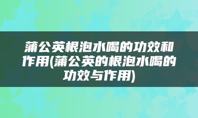 蒲公英根泡水喝的功效和作用(蒲公英的根泡水喝的功效与作用)
