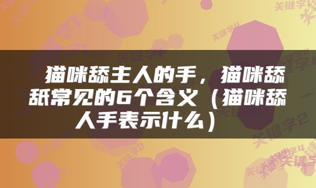  猫咪舔主人的手，猫咪舔舐常见的6个含义（猫咪舔人手表示什么） 