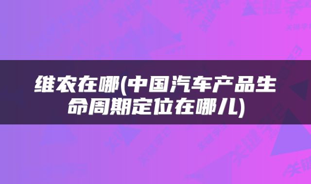 维农在哪(中国汽车产品生命周期定位在哪儿)