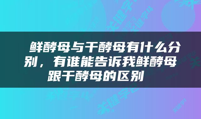  鲜酵母与干酵母有什么分别，有谁能告诉我鲜酵母跟干酵母的区别 