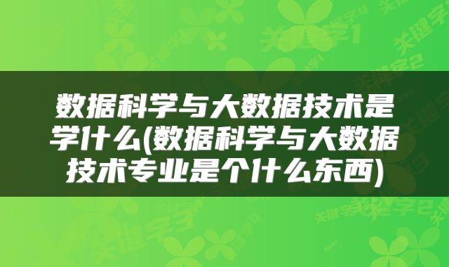 数据科学与大数据技术是学什么(数据科学与大数据技术专业是个什么东西)