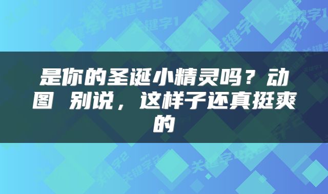 是你的圣诞小精灵吗？动图 别说，这样子还真挺爽的