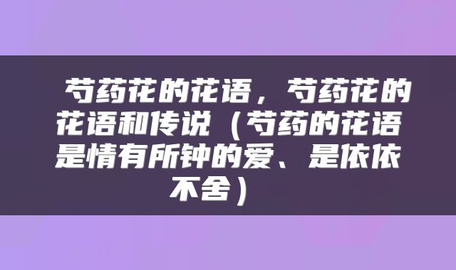  芍药花的花语，芍药花的花语和传说（芍药的花语是情有所钟的爱、是依依不舍） 