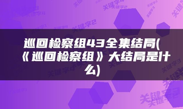 巡回检察组43全集结局(《巡回检察组》大结局是什么)