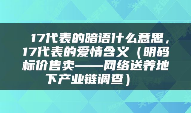  17代表的暗语什么意思，17代表的爱情含义（明码标价售卖——网络送养地下产业链调查） 
