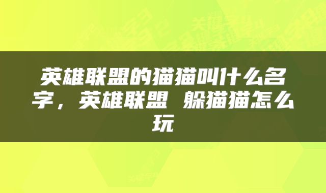 英雄联盟的猫猫叫什么名字，英雄联盟 躲猫猫怎么玩
