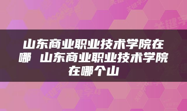 山东商业职业技术学院在哪 山东商业职业技术学院在哪个山