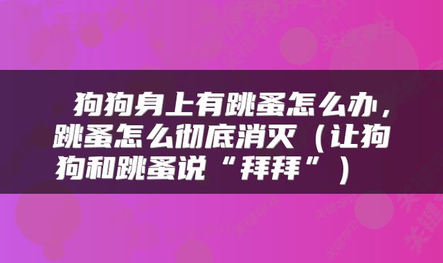  狗狗身上有跳蚤怎么办，跳蚤怎么彻底消灭（让狗狗和跳蚤说“拜拜”） 