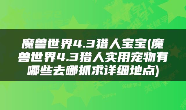 魔兽世界4.3猎人宝宝(魔兽世界4.3猎人实用宠物有哪些去哪抓求详细地点)