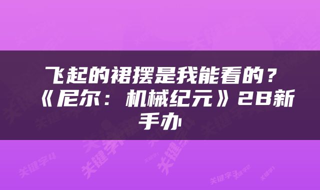 飞起的裙摆是我能看的？《尼尔：机械纪元》2B新手办