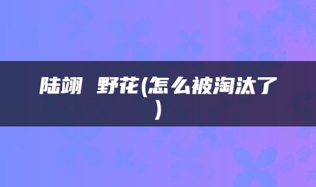 陆翊 野花(怎么被淘汰了)