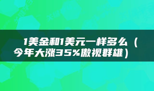 1美金和1美元一样多么（今年大涨35%傲视群雄） 