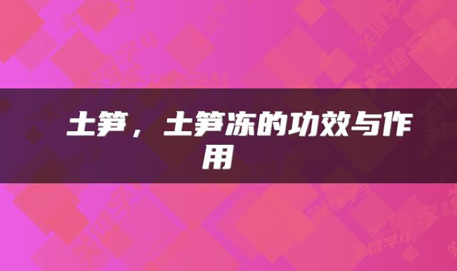  土笋，土笋冻的功效与作用 