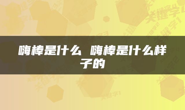 嗨棒是什么 嗨棒是什么样子的