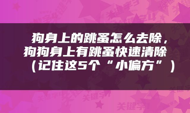 狗身上的跳蚤怎么去除，狗狗身上有跳蚤快速清除（记住这5个“小偏方”） 