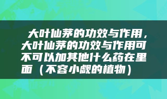  大叶仙茅的功效与作用，大叶仙茅的功效与作用可不可以加其他什么药在里面（不容小觑的植物） 