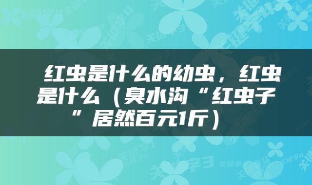红虫是什么的幼虫,红虫是什么(臭水沟“红虫子”居然百元1斤)
