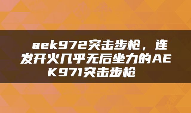  aek972突击步枪，连发开火几乎无后坐力的AEK971突击步枪 