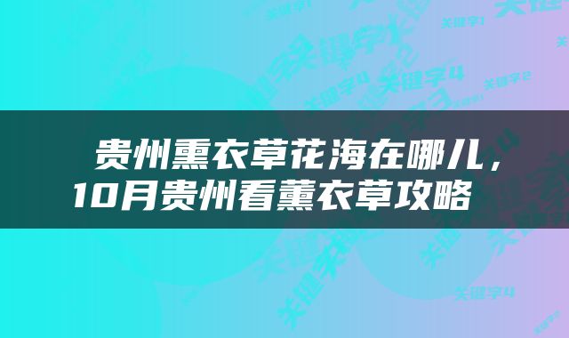  贵州熏衣草花海在哪儿，10月贵州看薰衣草攻略 