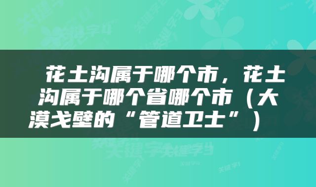  花土沟属于哪个市，花土沟属于哪个省哪个市（大漠戈壁的“管道卫士”） 