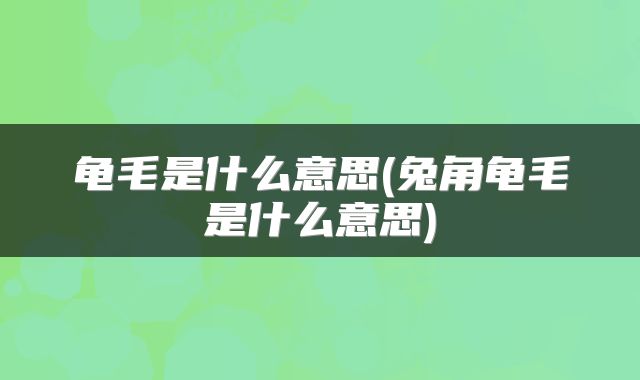 龟毛是什么意思(兔角龟毛是什么意思)