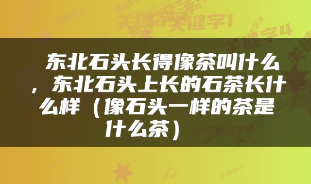  东北石头长得像茶叫什么，东北石头上长的石茶长什么样（像石头一样的茶是什么茶） 