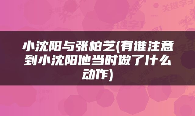 小沈阳与张柏芝(有谁注意到小沈阳他当时做了什么动作)