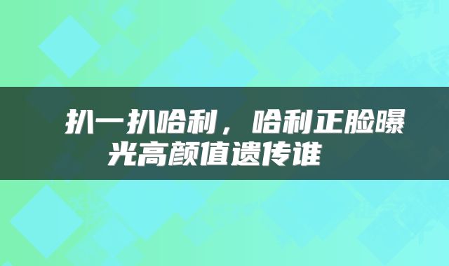  扒一扒哈利，哈利正脸曝光高颜值遗传谁 