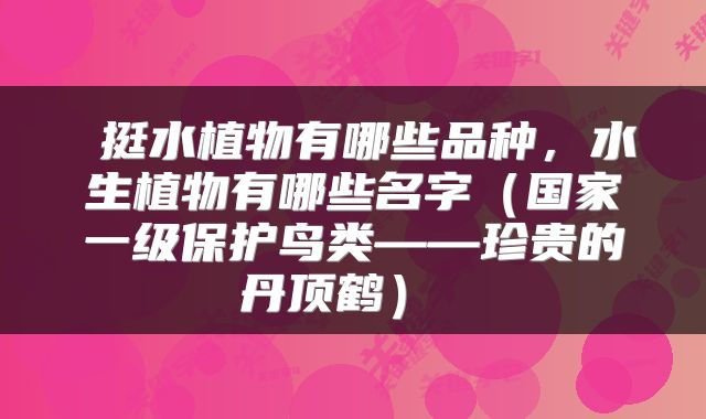  挺水植物有哪些品种，水生植物有哪些名字（国家一级保护鸟类——珍贵的丹顶鹤） 
