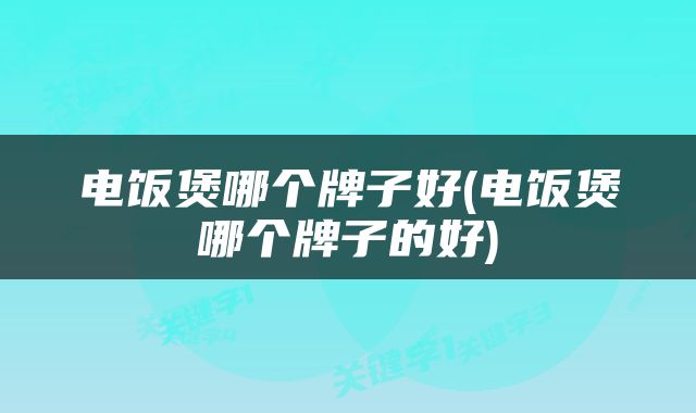 电饭煲哪个牌子好(电饭煲哪个牌子的好)