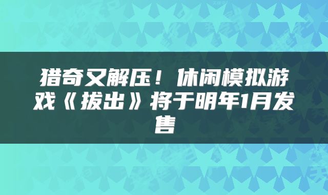 猎奇又解压！休闲模拟游戏《拔出》将于明年1月发售